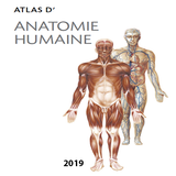 Atlas Anatomie Humaine 2019 icône
