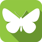 iButterflies icône