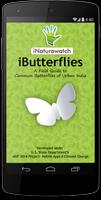 iButterflies постер