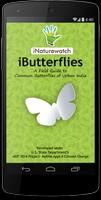 Poster iButterflies
