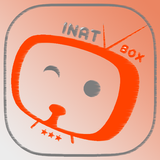 int box player