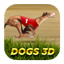 Dogs3D Races Betting APK
