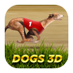 Dogs3D Races Betting