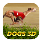 Dogs3D Races Betting Zeichen