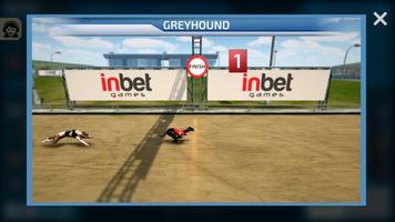 Dogs3D Races Betting syot layar 3