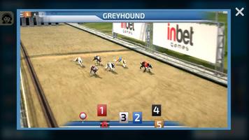 Dogs3D Races Betting ảnh chụp màn hình 2