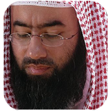 قصص الانبياء نبيل العوضي icono