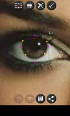 Color Eyes XAPK download