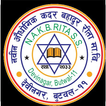 Nabin School