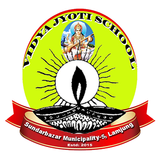 Vidya jyoti School icon