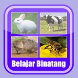 Belajar Membaca Binatang biểu tượng