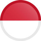 INDONESIA VPN 图标