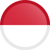 INDONESIA VPN icône