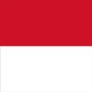 Indonesia VPN - Fast VPN Proxy APK