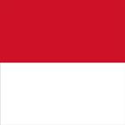 Indonesia VPN иконка