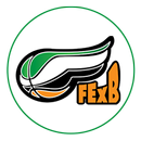 Acta Digital FExB APK