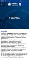 FEBAMBA screenshot 1