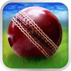 Cricket WorldCup Fever APK download