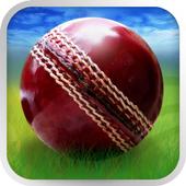 Cricket WorldCup Fever أيقونة