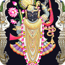 APK Shrinathji Arti ChalisaGujrati