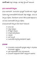 India Polity Telugu Book Ekran Görüntüsü 2