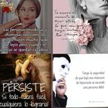 Frases Indirectas y reflexión