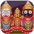 Odia Multi Calendar 2024 APK