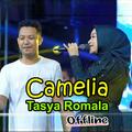 Camelia -Tasya Rosmala Offline
