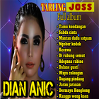 Tarling Dian Anic Mp3 icône