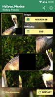 Holbox Sliding Puzzle Screenshot 3