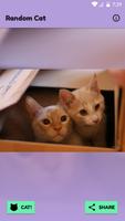Random Cat: Random pictures of cats 🐱📷 Ekran Görüntüsü 1