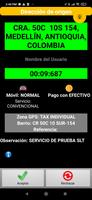 Tax Individual Conductor captura de pantalla 3