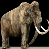 آیکون‌ Learn Mammoth