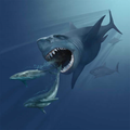 Carcharocles megalodon