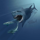 Carcharodon megalodon