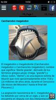 Carcharodon megalodon captura de pantalla 1