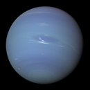 Neptune APK