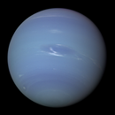 Learn Neptune APK