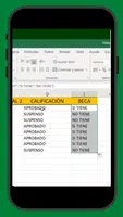 Aprender Excel Paso A Paso screenshot 5