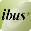 iBus Indore