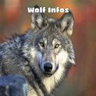 Wolf Infos-icoon