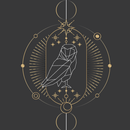 Gypsy Tarot Readings 2019-APK