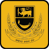 MyDS APK