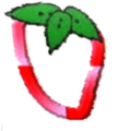 Infosign Emian
