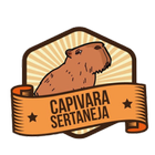 Rádio Capivara Sertaneja icône