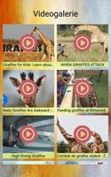 Giraffen Fotos und Videos Screenshot 1