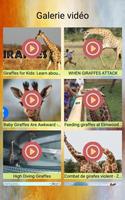 Girafes Photos et Vidéos capture d'écran 1