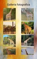 2 Schermata Giraffe Foto e video