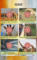 长颈鹿照片和视频 截图 1