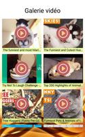 841 Fun Pet Vidéos et Photos capture d'écran 1